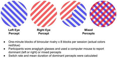 Slowed alpha oscillations and percept formation in psychotic psychopathology